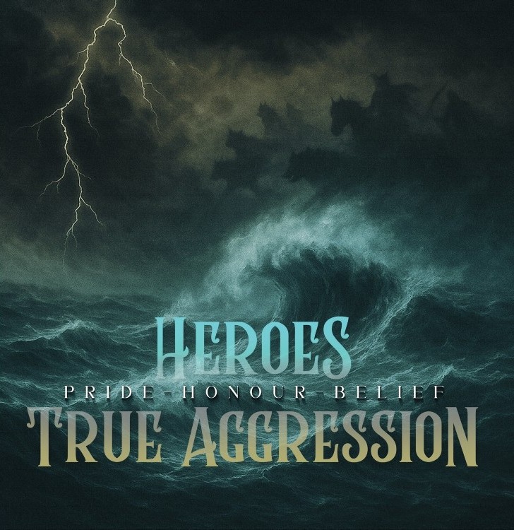 TRUE AGGRESSION / HEROES - PRIDE HONOUR BELIEF